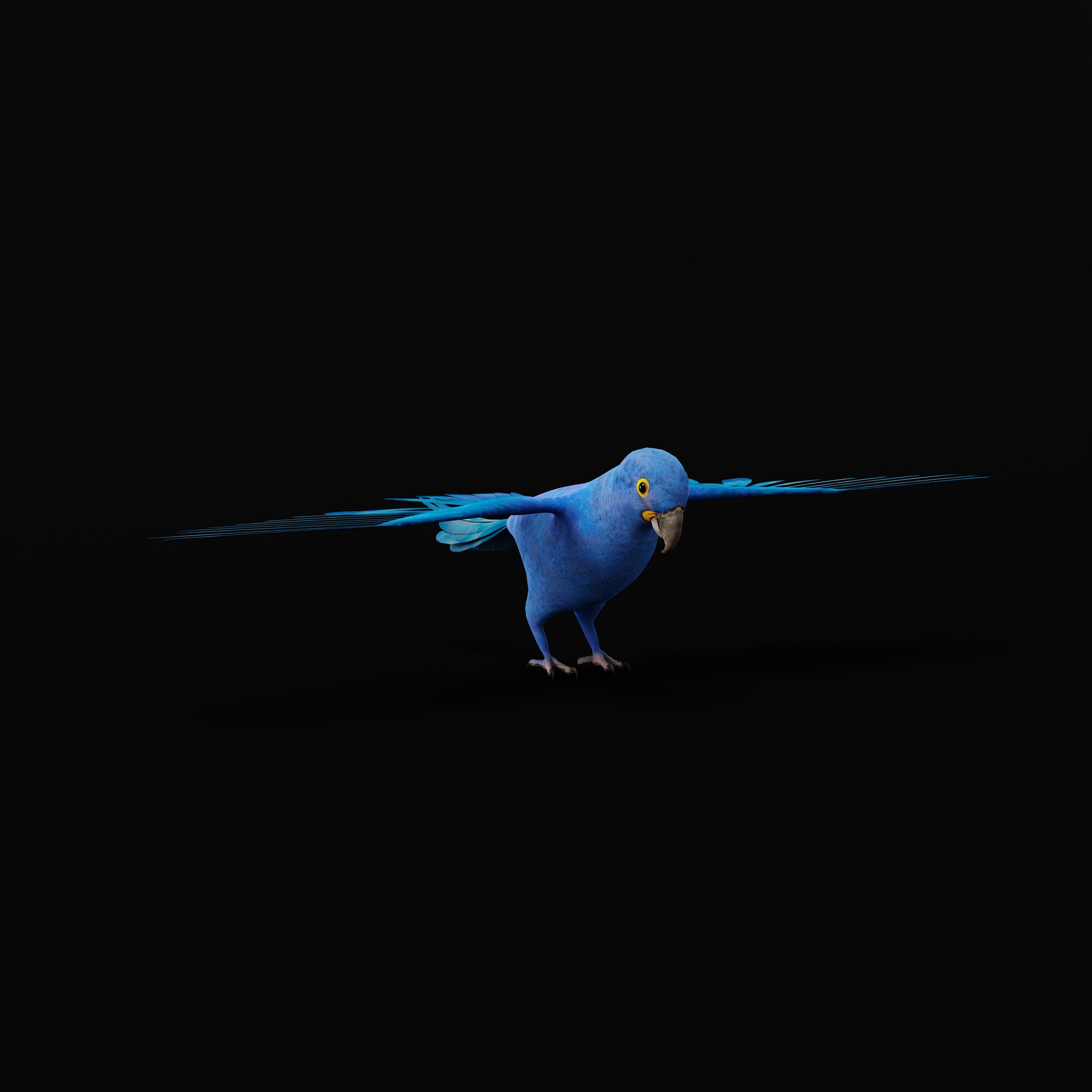 Hyacinth Macaw Parrot Low-poly 3D model_49