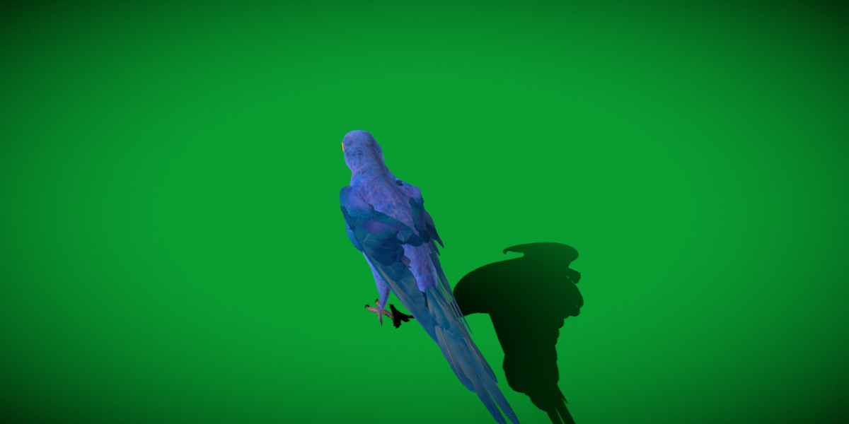 Hyacinth Macaw Parrot Low-poly 3D model_30