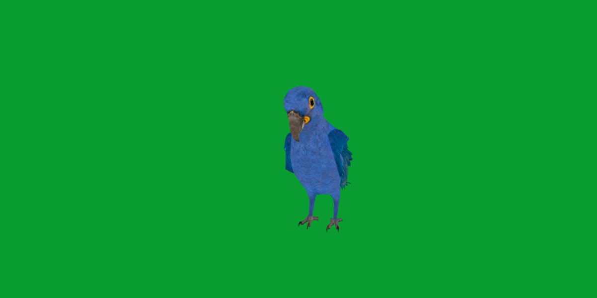 Hyacinth Macaw Parrot Low-poly 3D model_5