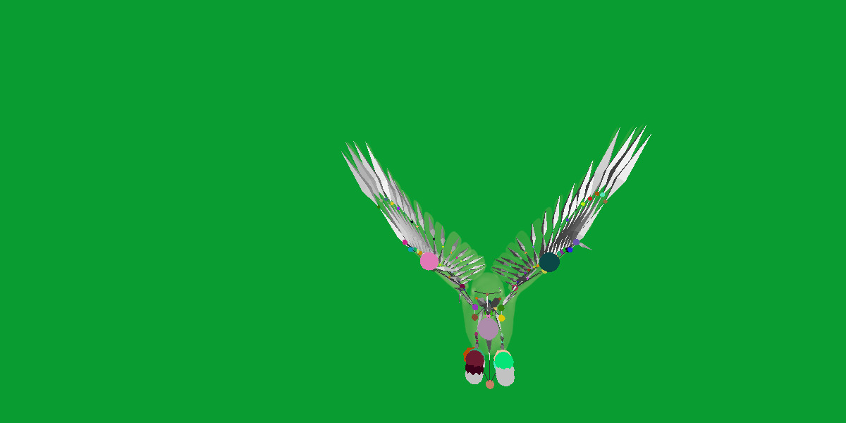 Hyacinth Macaw Parrot Low-poly 3D model_25