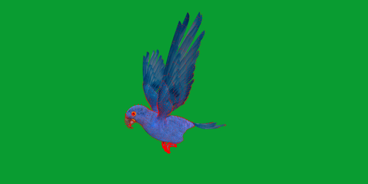 Hyacinth Macaw Parrot Low-poly 3D model_14