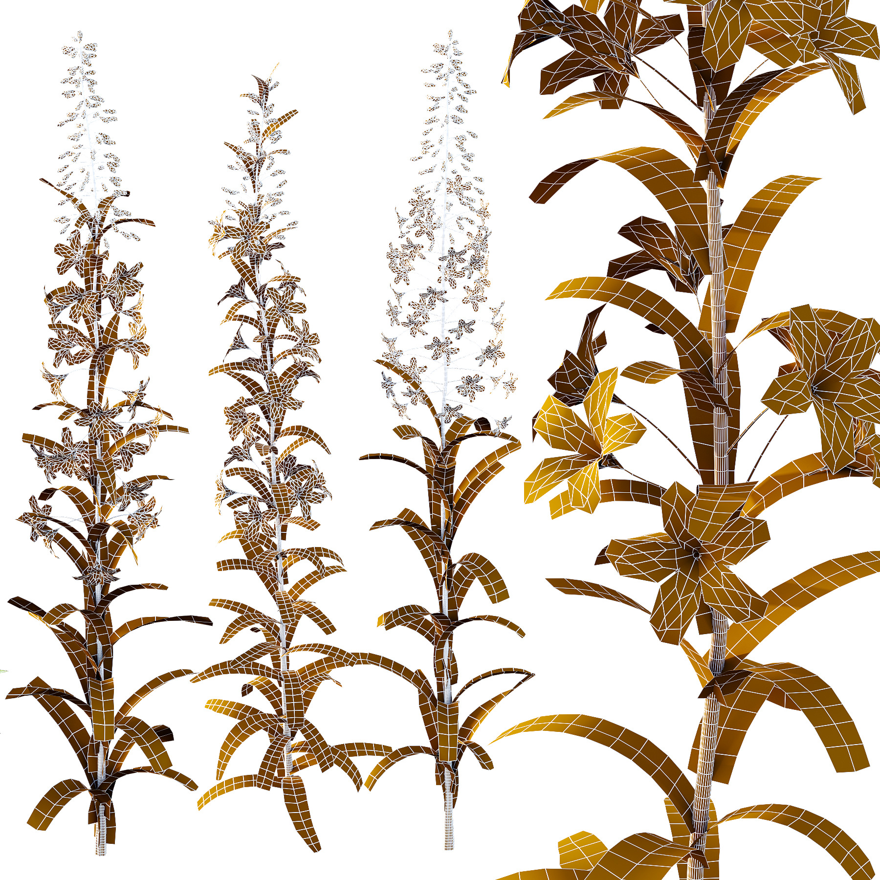 Different Grass 01 3D model_2