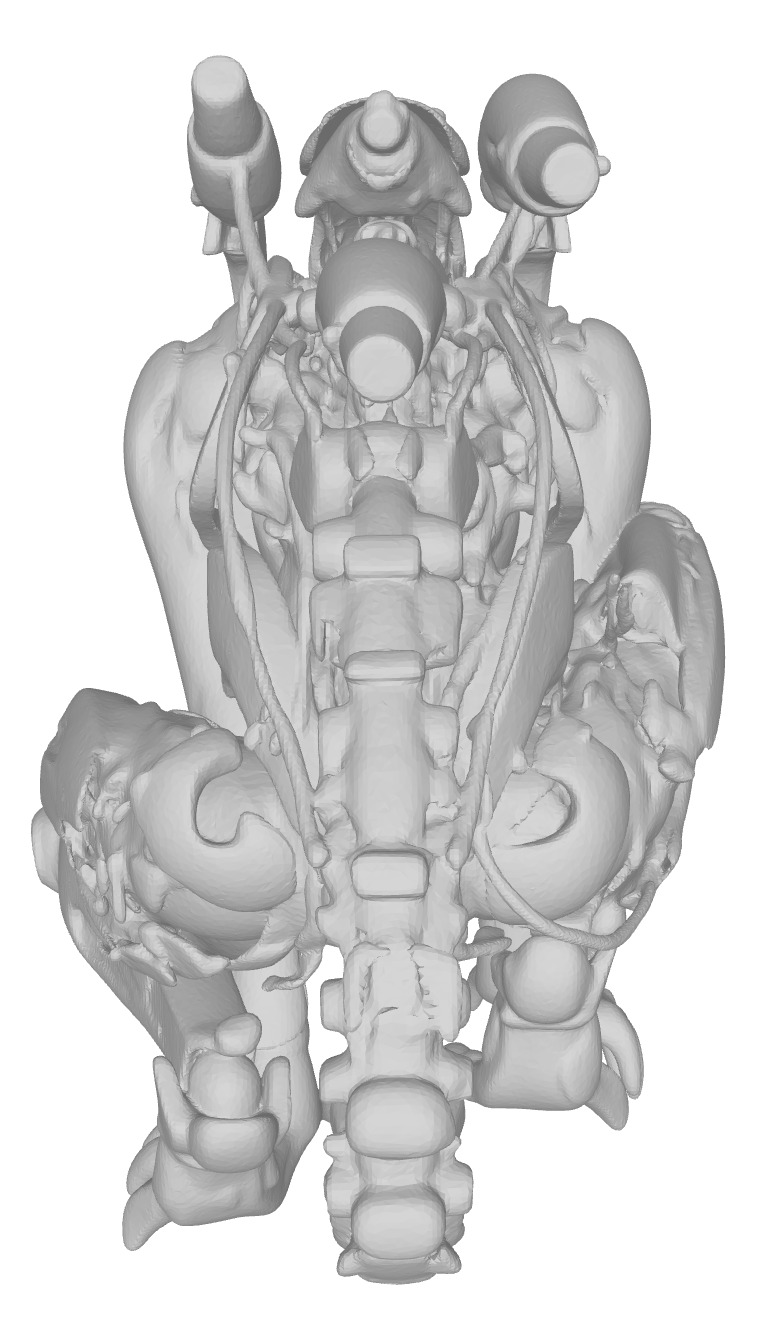 Xenomorph robot Alien  3D print model_8