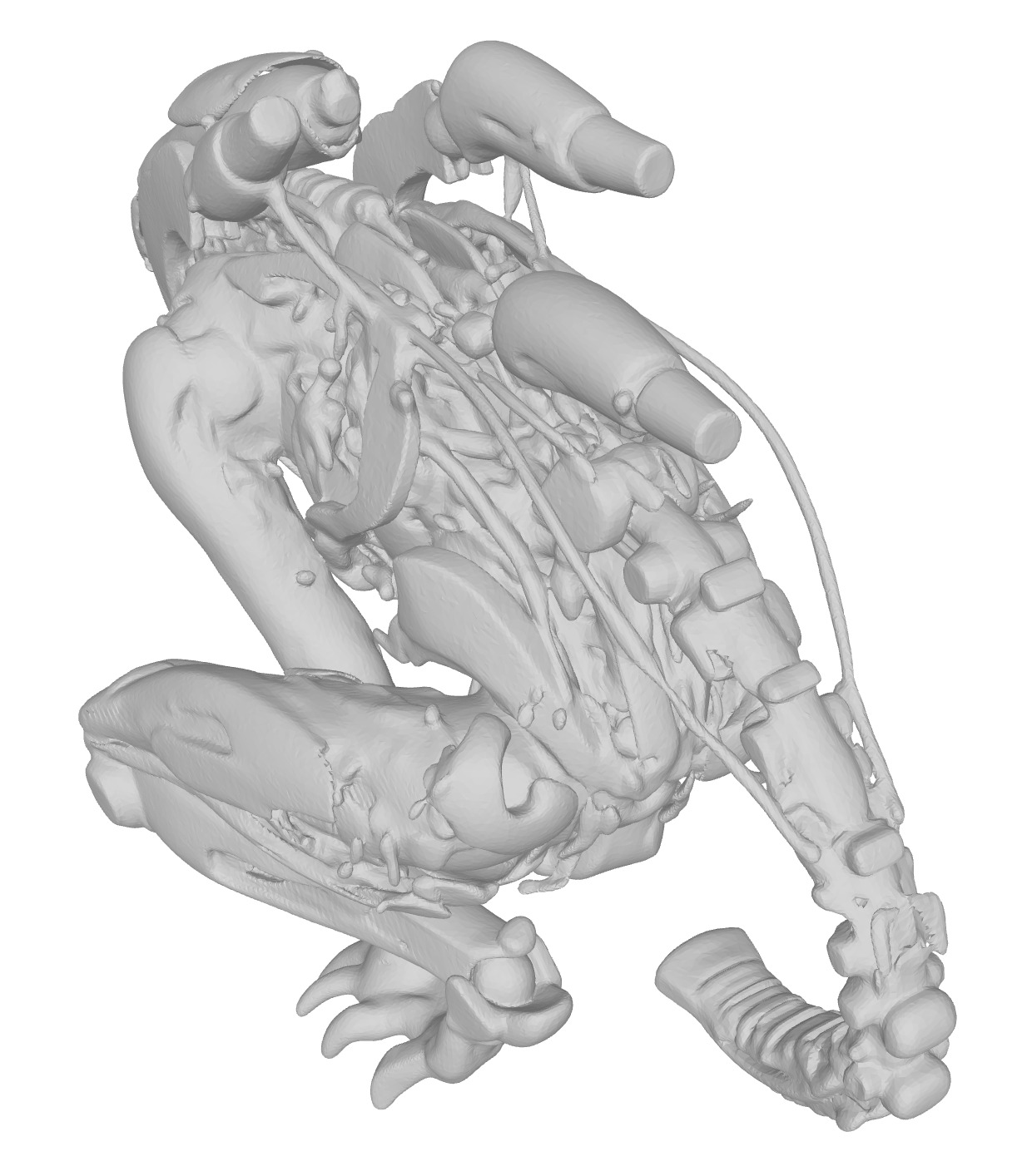 Xenomorph robot Alien  3D print model_4