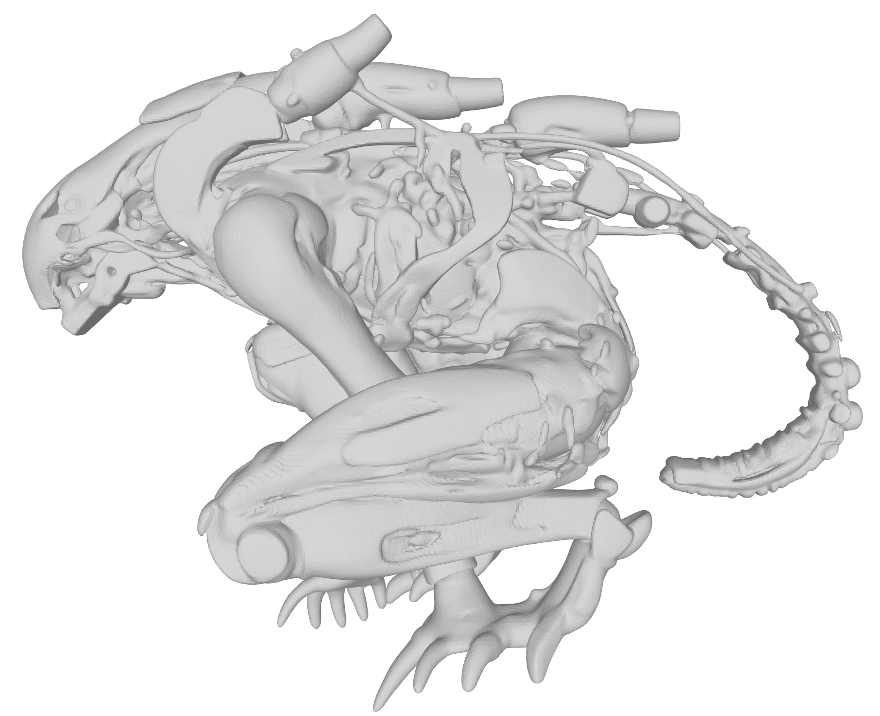 Xenomorph robot Alien  3D print model_5