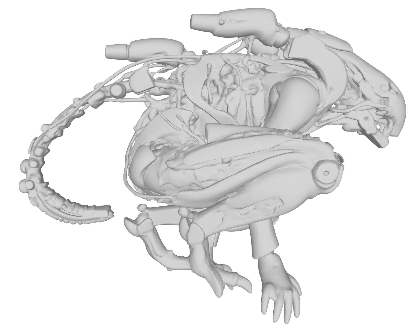 Xenomorph robot Alien  3D print model_7