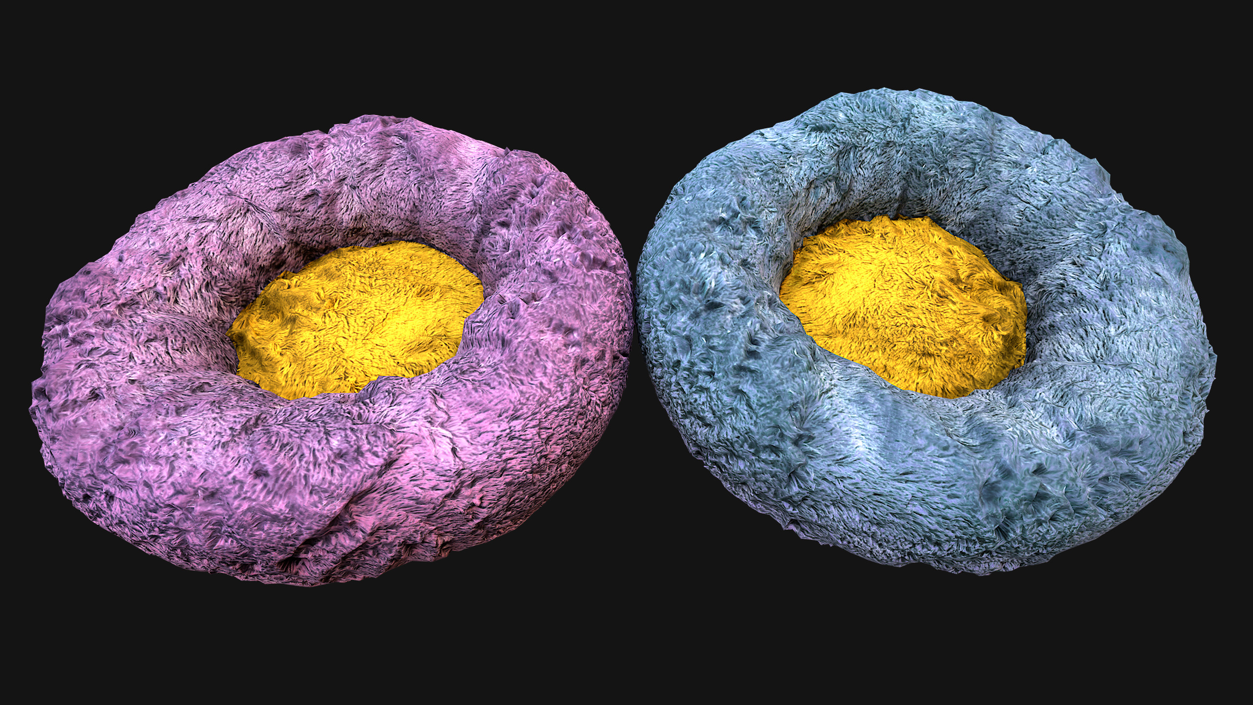 Bed Pet Chair for Cats and Dogs Furniture Low-poly 3D model_6