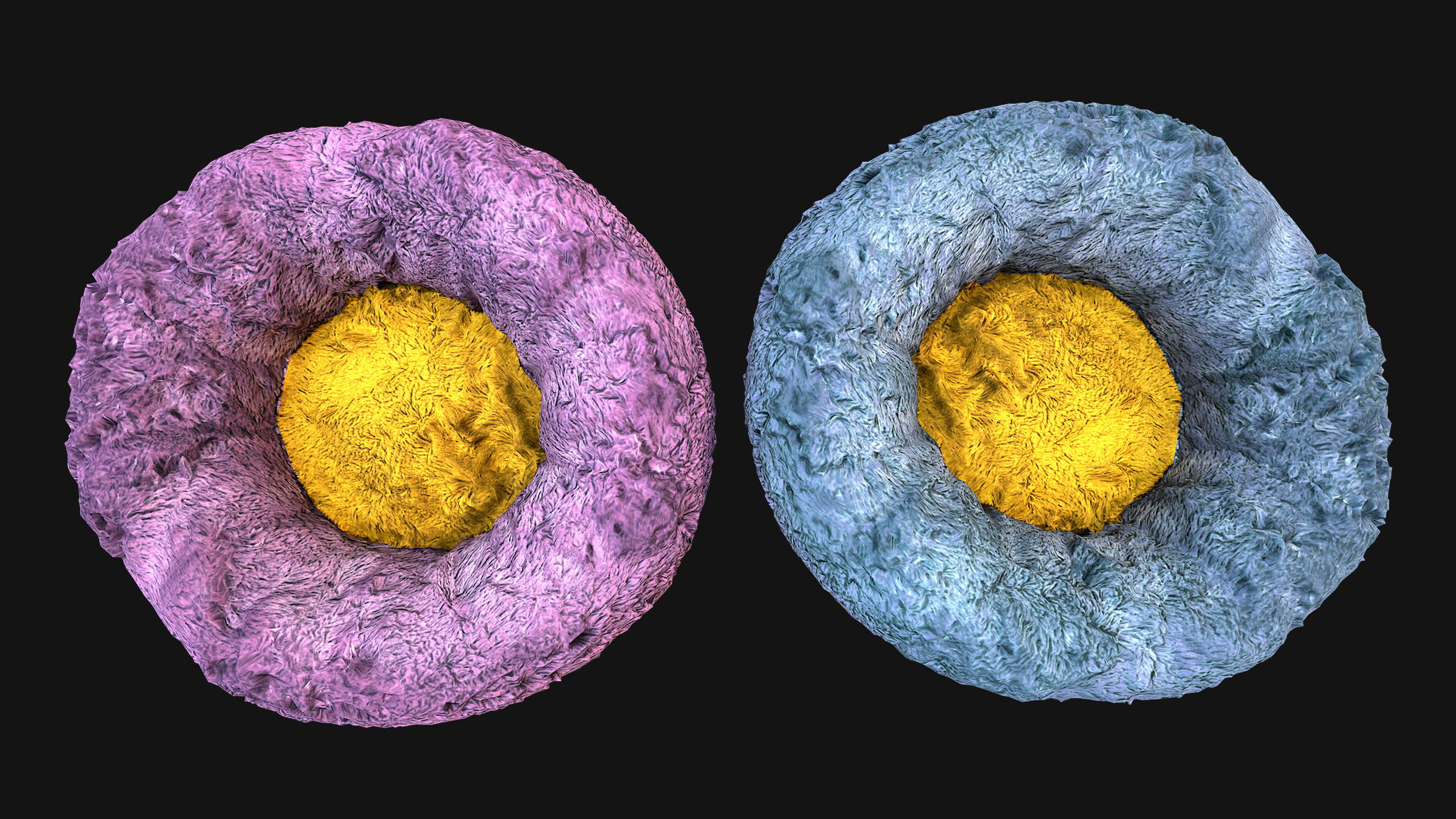 Bed Pet Chair for Cats and Dogs Furniture Low-poly 3D model_11