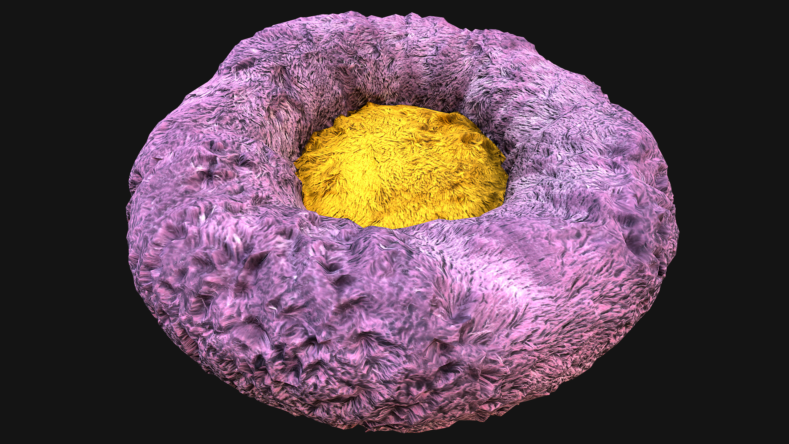 Bed Pet Chair for Cats and Dogs Furniture Low-poly 3D model_17