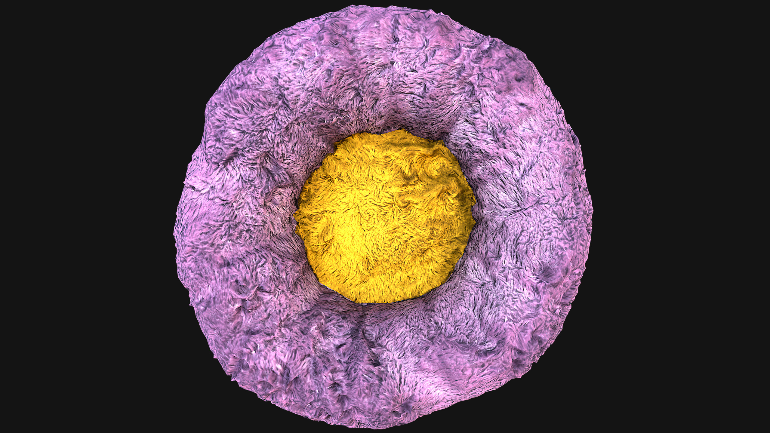 Bed Pet Chair for Cats and Dogs Furniture Low-poly 3D model_19