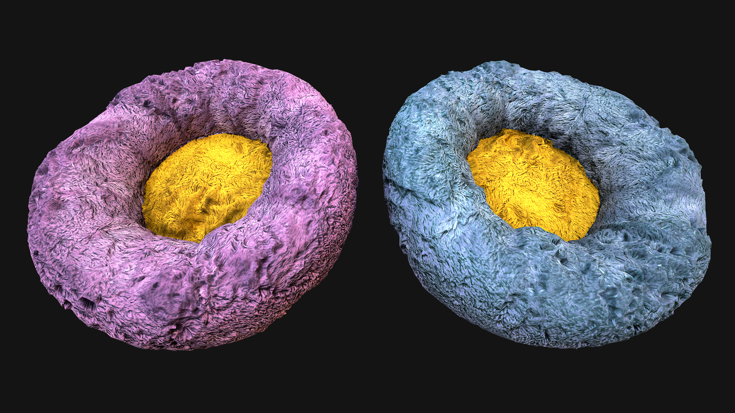 Bed Pet Chair for Cats and Dogs Furniture Low-poly 3D model_9