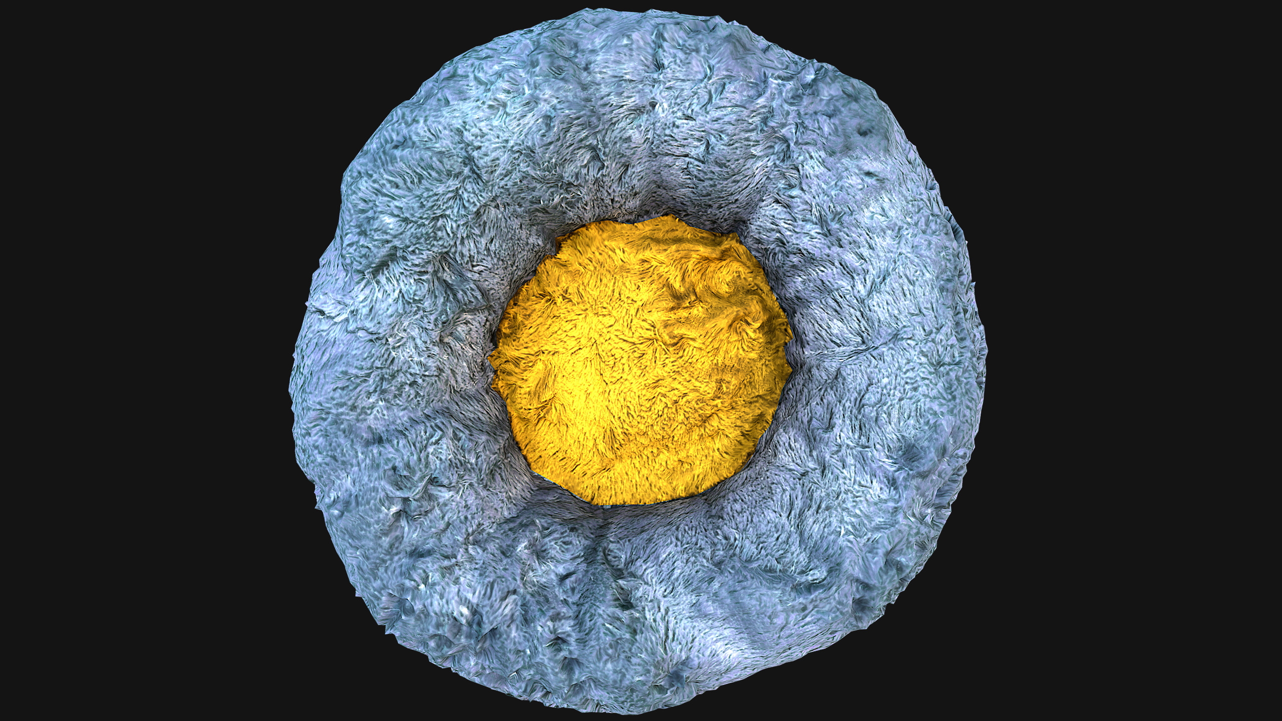 Bed Pet Chair for Cats and Dogs Furniture Low-poly 3D model_20