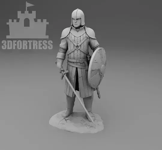 Swordsman 3D print model