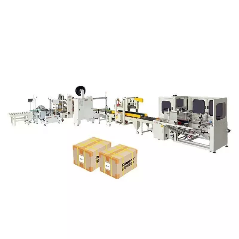 Fully Automated Carton Sealing and Packaging Line - Box Sealer 3D model_0