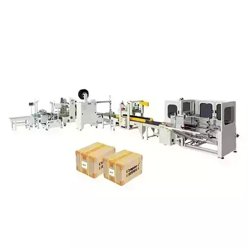 Fully Automated Carton Sealing and Packaging Line - Box Sealer
