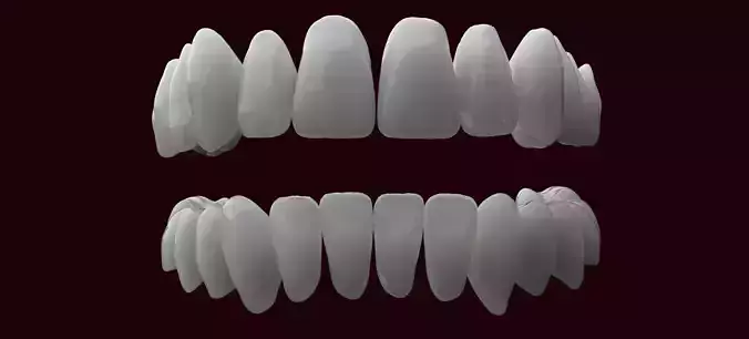 Ultra-Detailed Anatomically Correct Human Teeth Set 3D print model