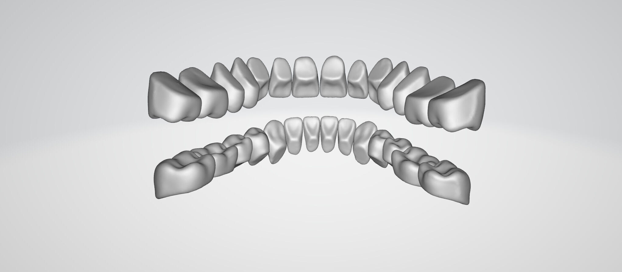 Ultra-Detailed Anatomically Correct Human Teeth Set 3D print model_9