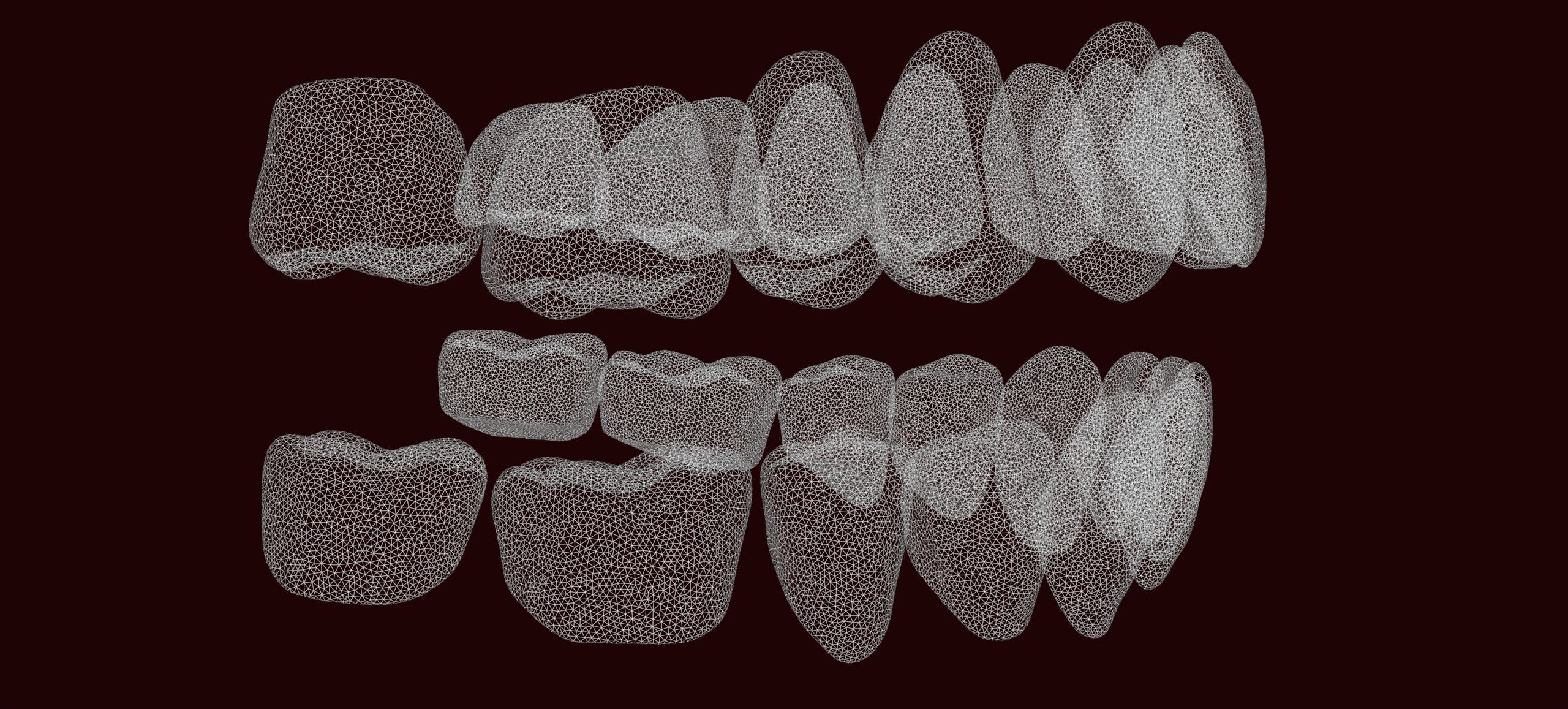 Ultra-Detailed Anatomically Correct Human Teeth Set 3D print model_11