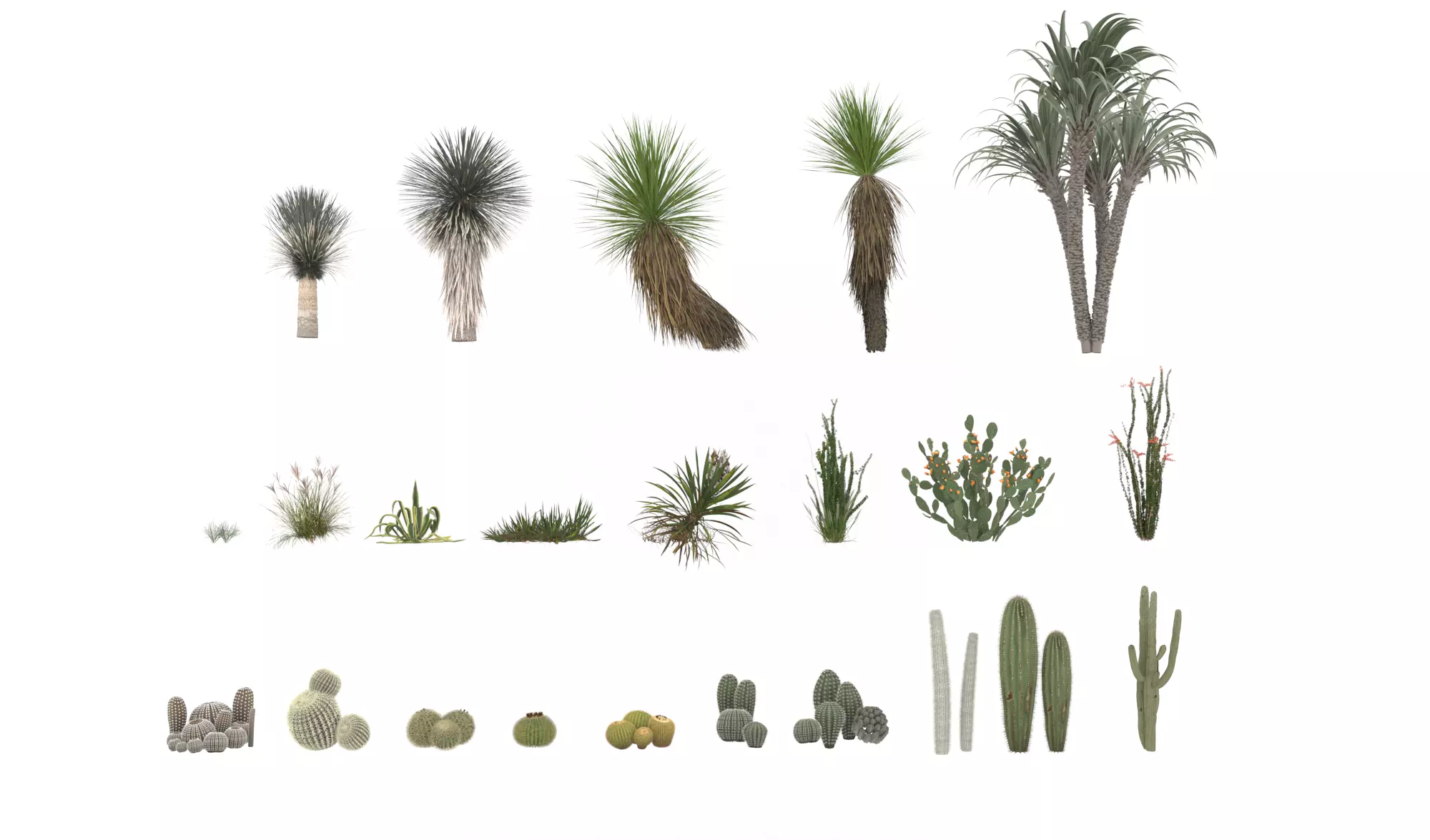 Desert Plants and Cactus Collection 3D Models max obj 3D model
