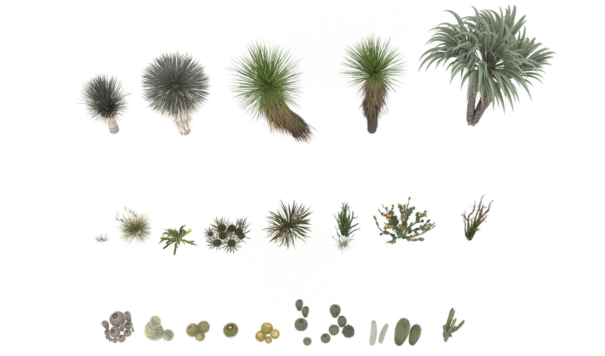 3D CARGO【植物編】3D形状データ集 OBJフォーマット Desert Plants and Cactus Collection 3D Models max obj 3D model