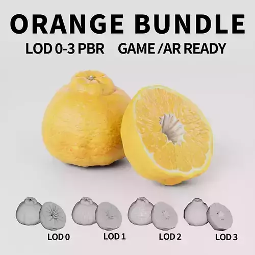Orange 3D model Bundle Pack
