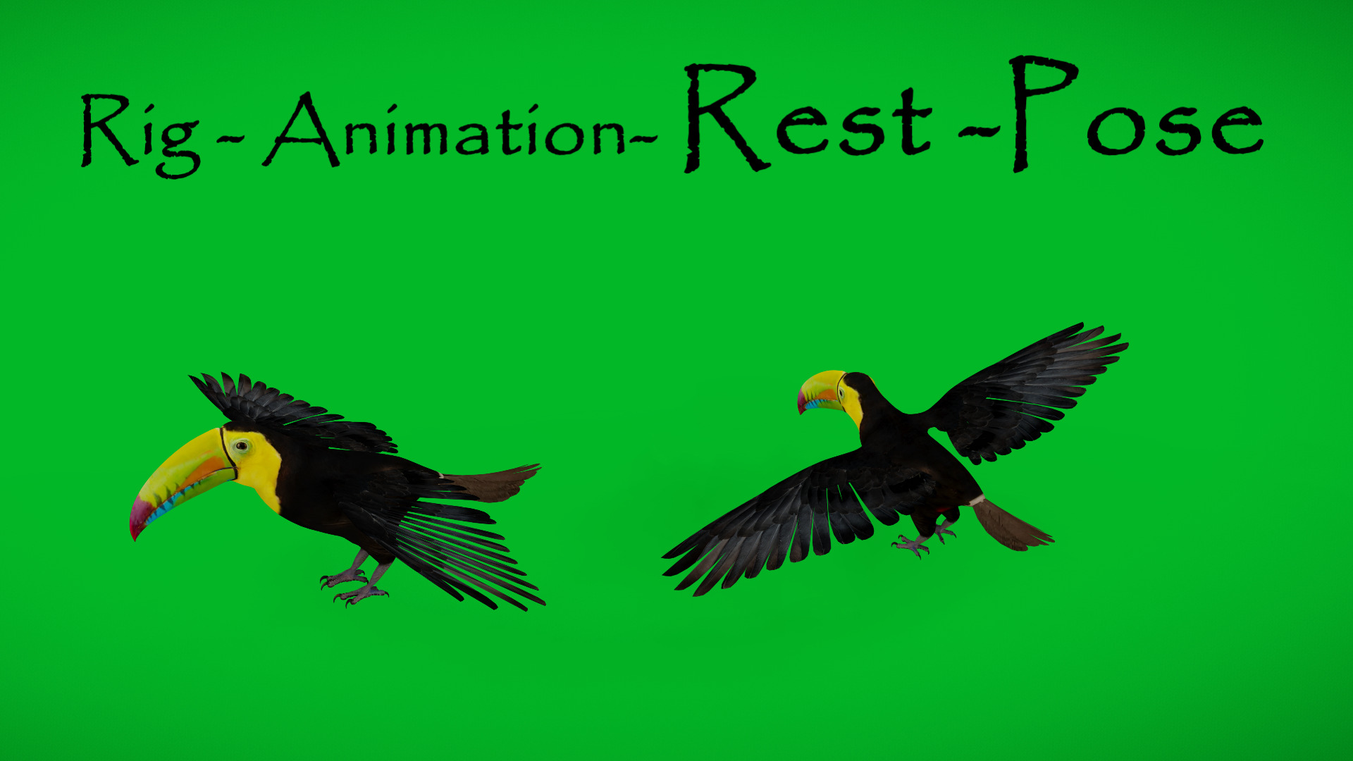 Keel Billed Toucan Bird Low-poly 3D model_3