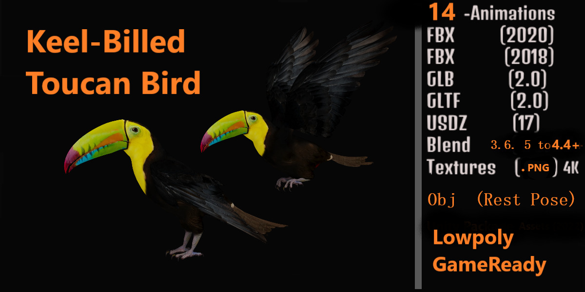 Keel Billed Toucan Bird Low-poly 3D model_2