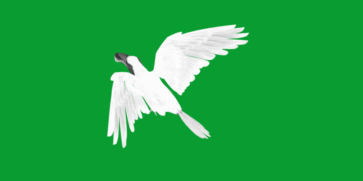 Keel Billed Toucan Bird Low-poly 3D model_16