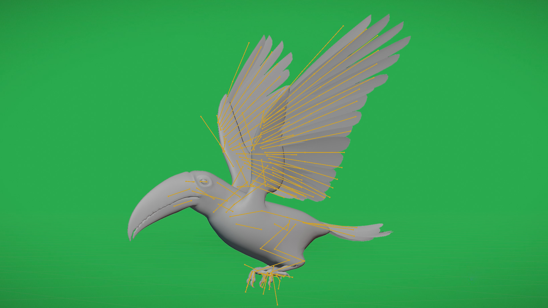 Keel Billed Toucan Bird Low-poly 3D model_8