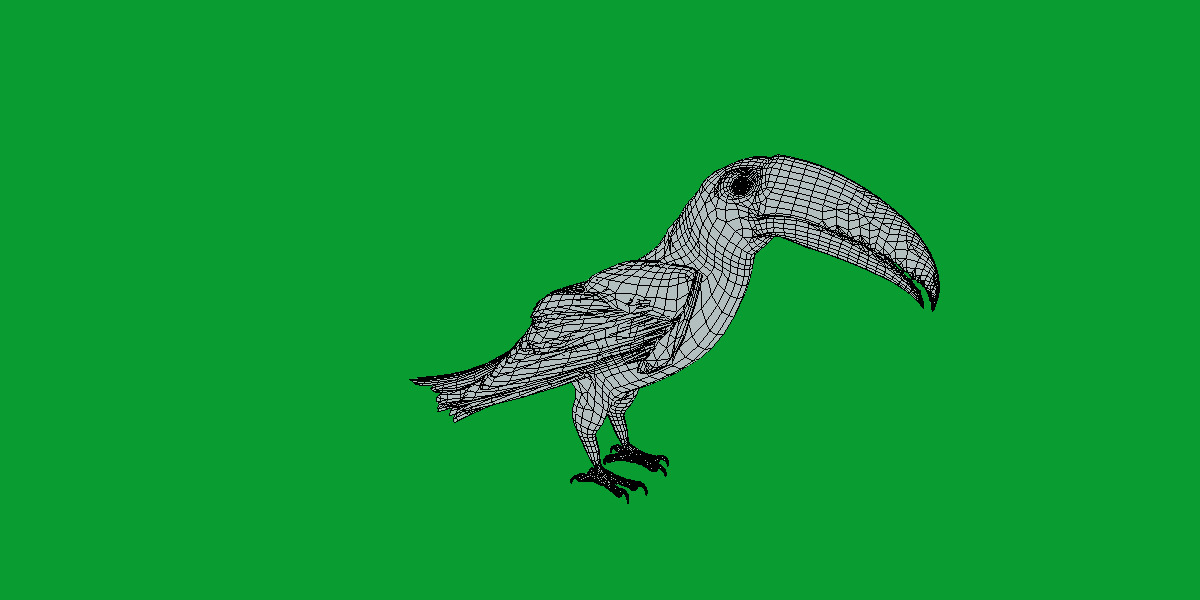 Keel Billed Toucan Bird Low-poly 3D model_36