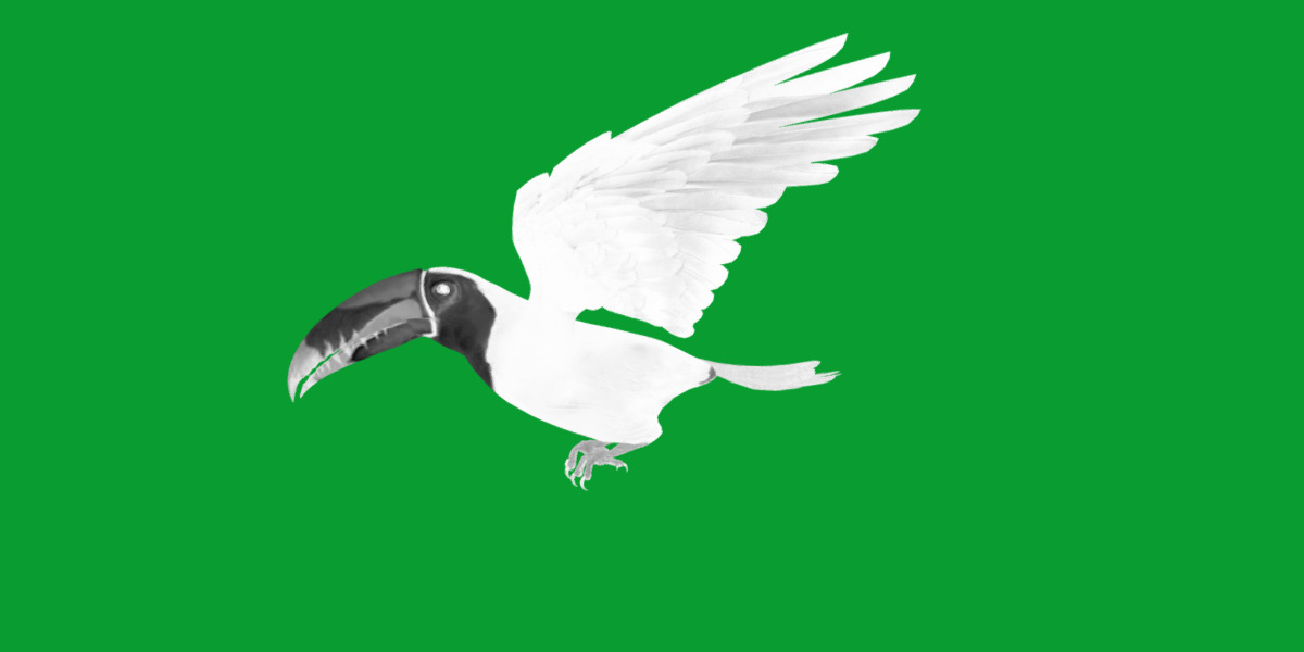 Keel Billed Toucan Bird Low-poly 3D model_18