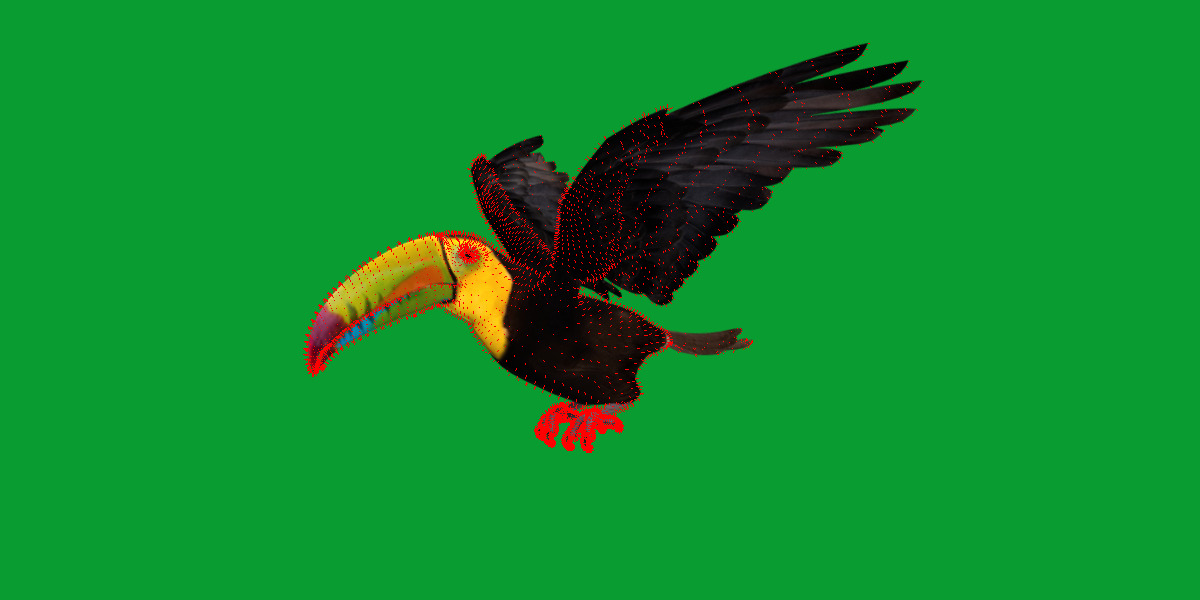 Keel Billed Toucan Bird Low-poly 3D model_24