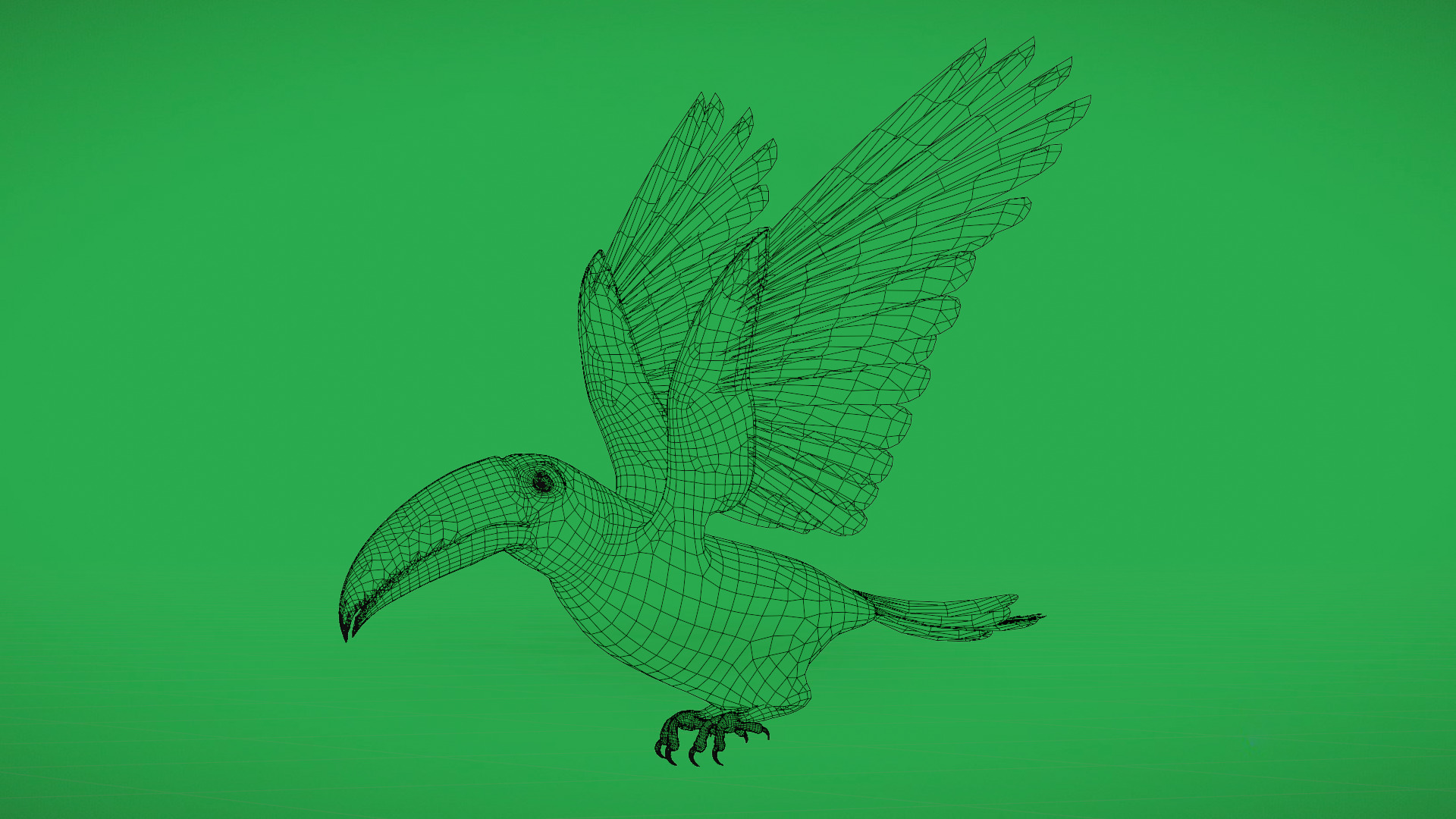 Keel Billed Toucan Bird Low-poly 3D model_9