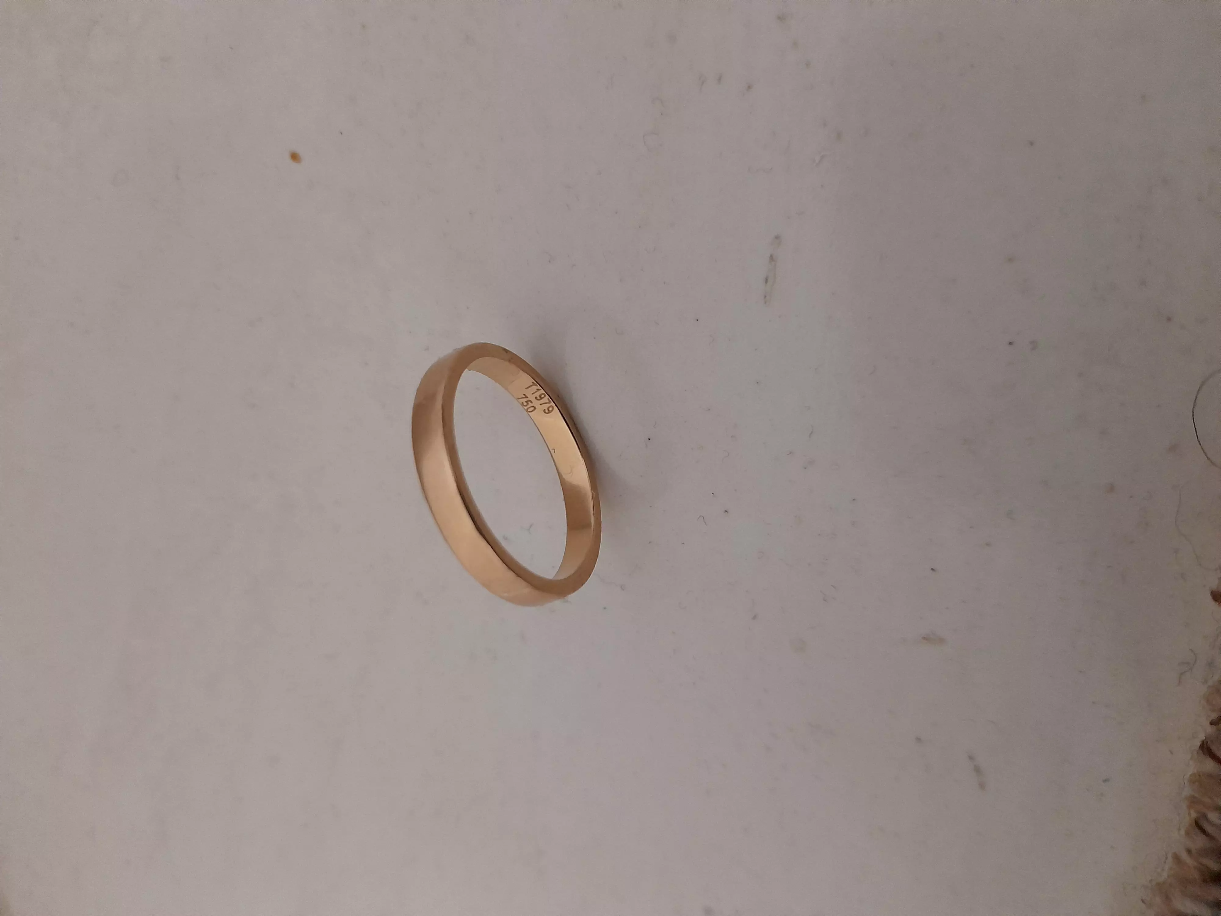 golden circle 3D model_0