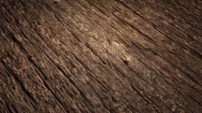 Rotting Wood PBR Texture