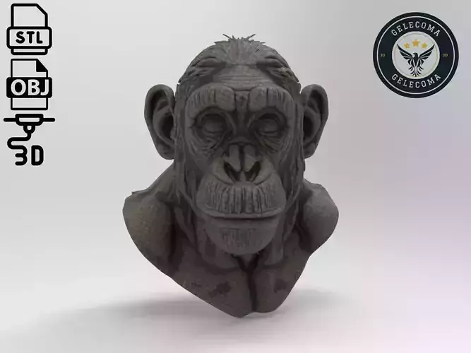 Chimpanzee Animal 3d Printing 3D print model