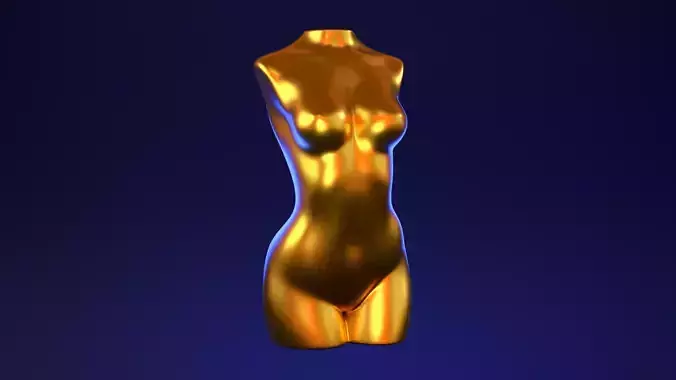 Female Torso 2