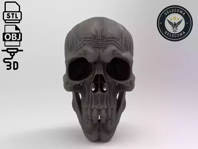 Skeleton Mask 3D Print Model
