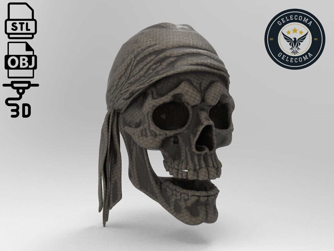 Pirate 3D Print Model 3D print model_2