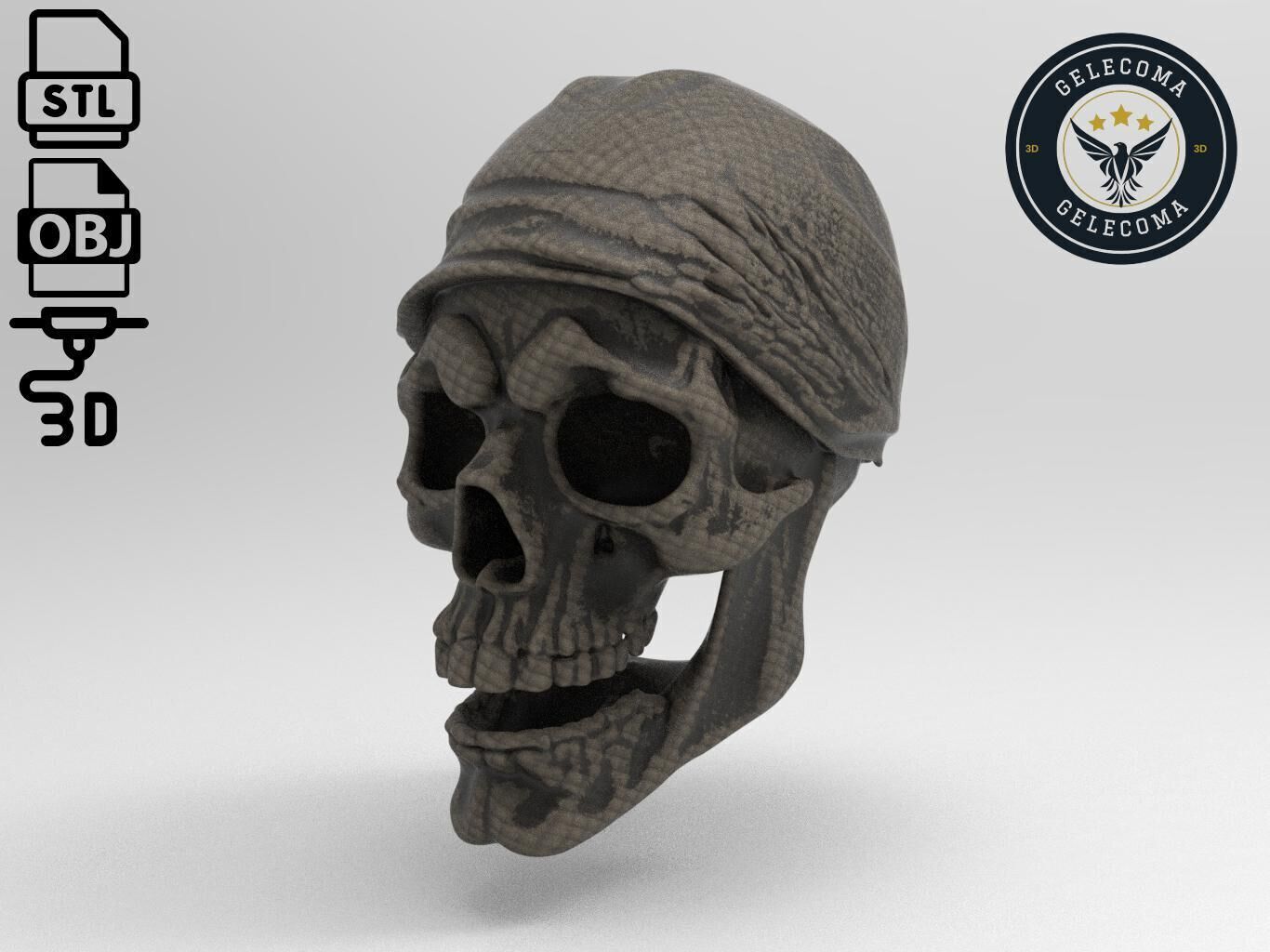 Pirate 3D Print Model 3D print model_1