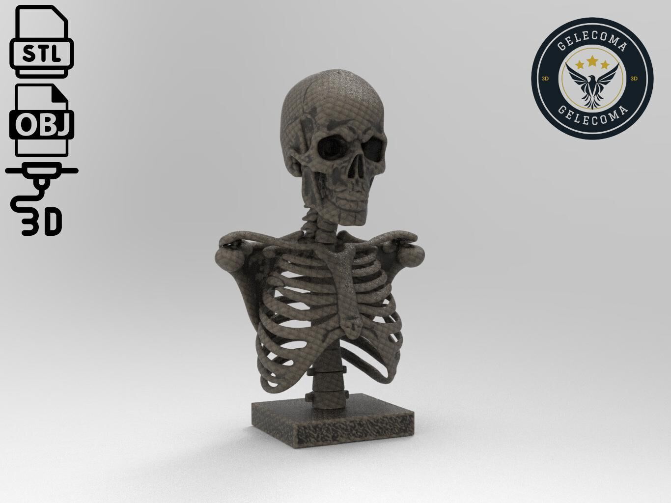 Skeleton 3D Print Model 3D print model_2