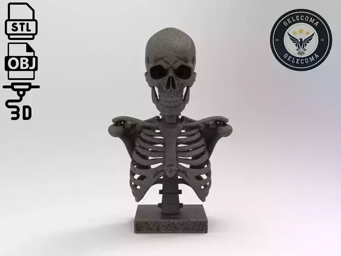 Skeleton 3D Print Model