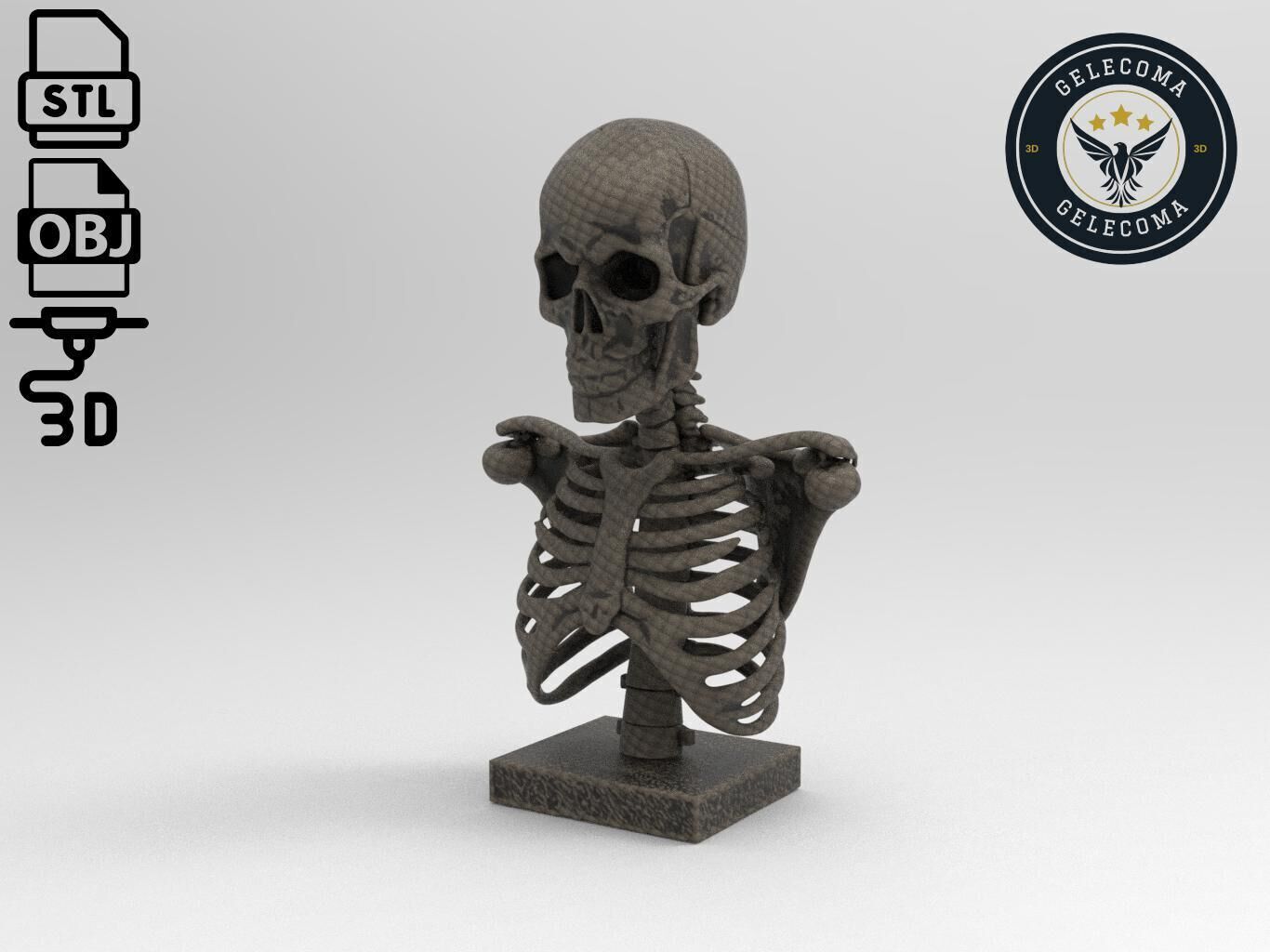 Skeleton 3D Print Model 3D print model_1