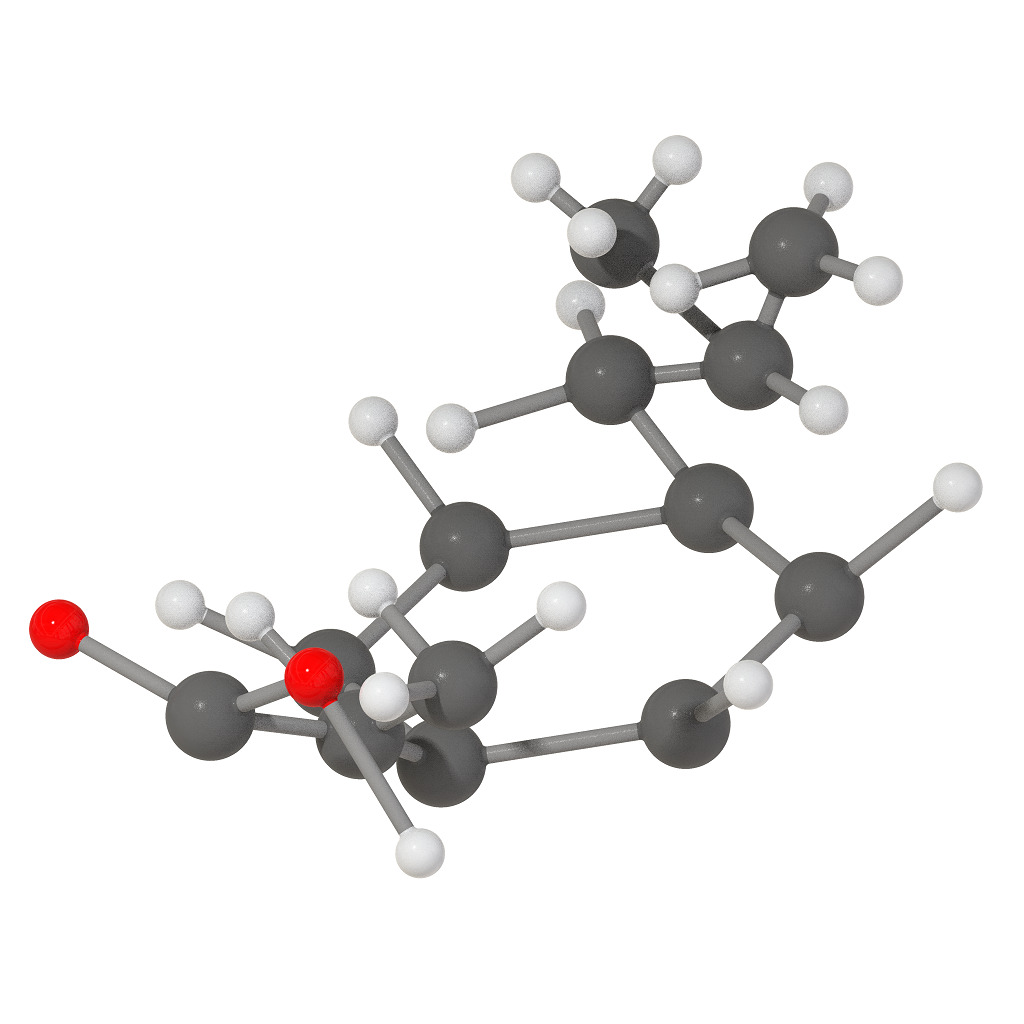 Ibuprofen Molecular Structure 3D print model_1