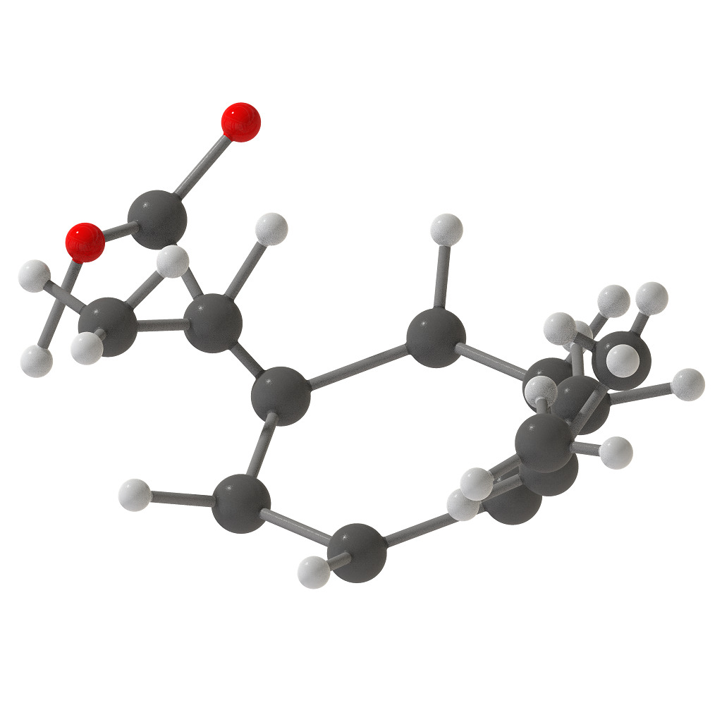 Ibuprofen Molecular Structure 3D print model_2