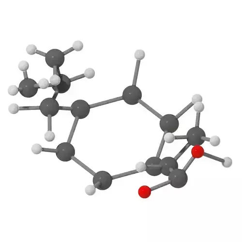 Ibuprofen Molecular Structure 3D print model