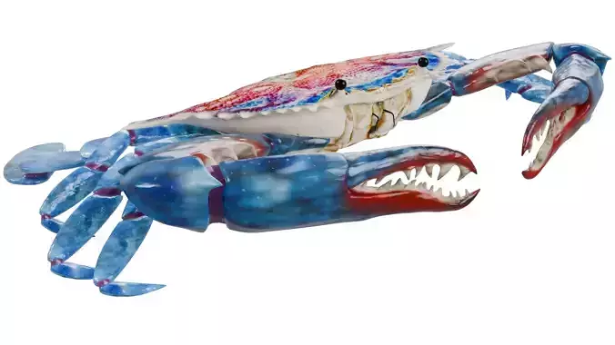 Blue Crab 3D model