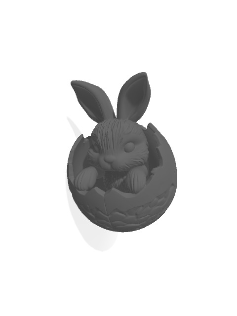 Easter Bunny in Egg 3D print model_1