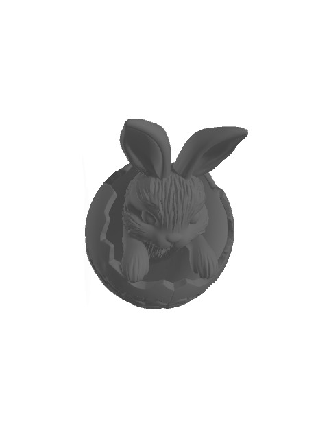 Easter Bunny in Egg 3D print model_4