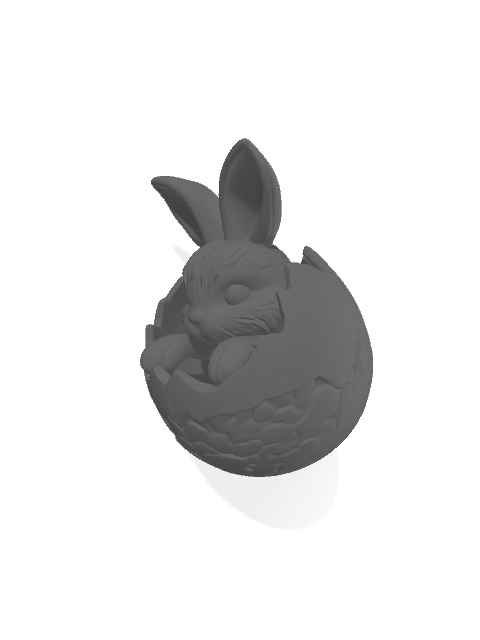 Easter Bunny in Egg 3D print model_2